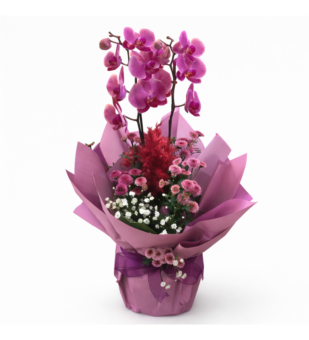 Premium Ateş Kırmızı Çift Dallı Orkide Aranjmanı