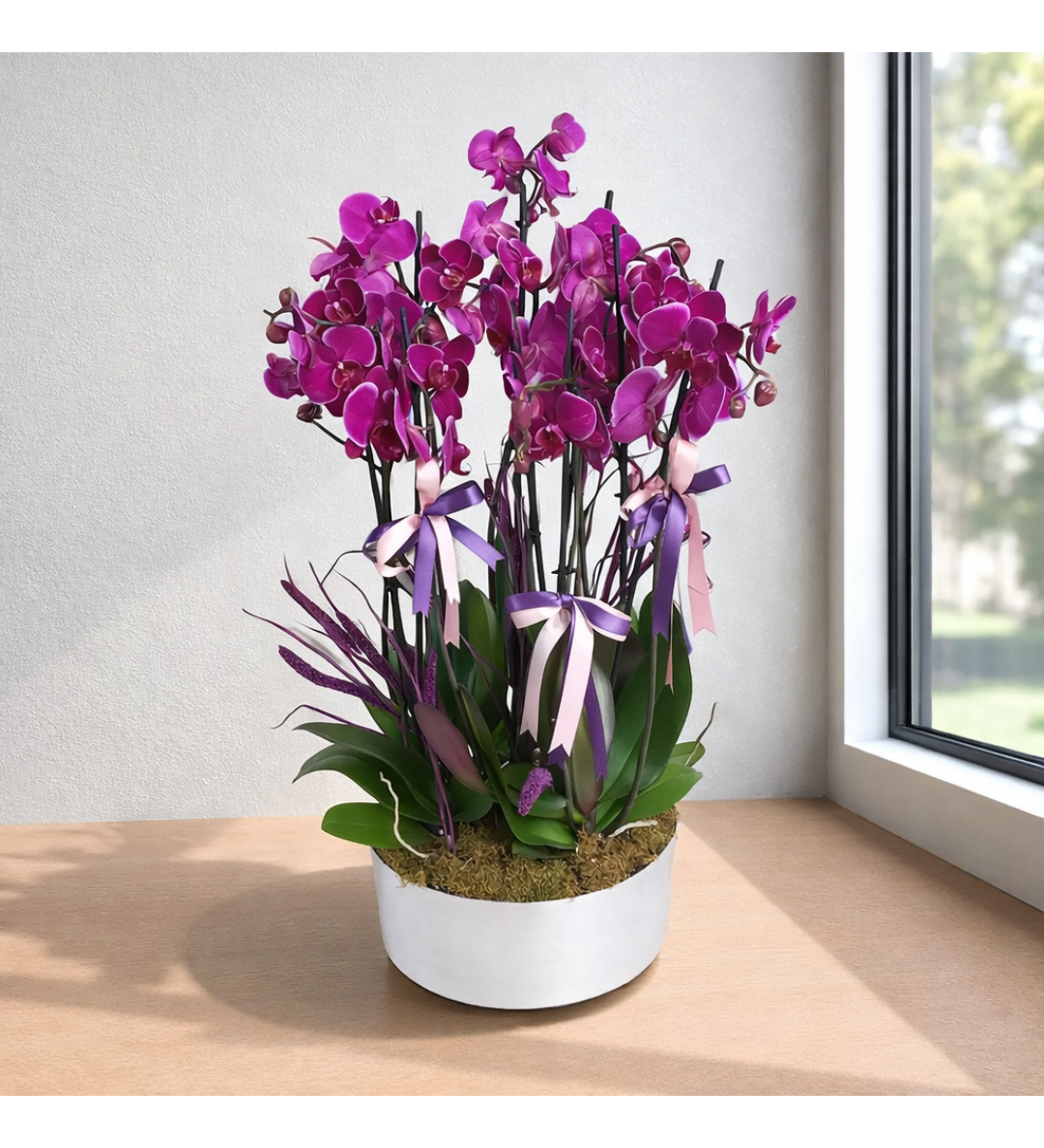 Purple Opéra – Premium 8 Dal Mor Orkide